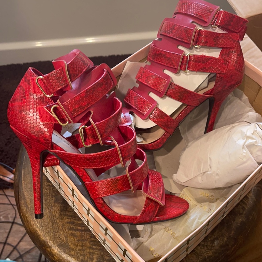 Ted snake print sandals